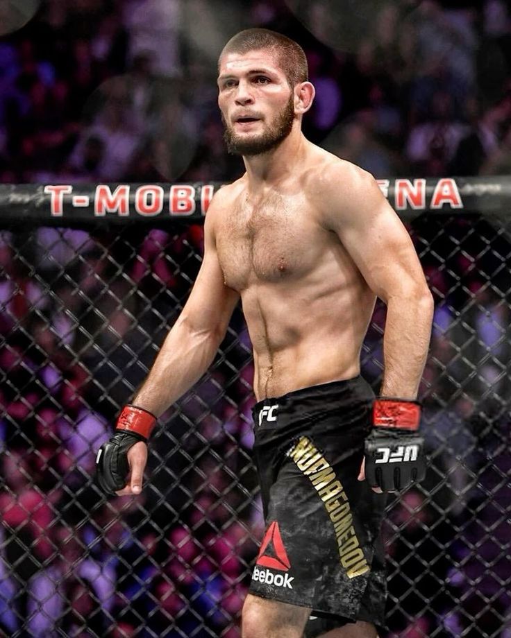 MMA - NIEZAWODNY PARTER